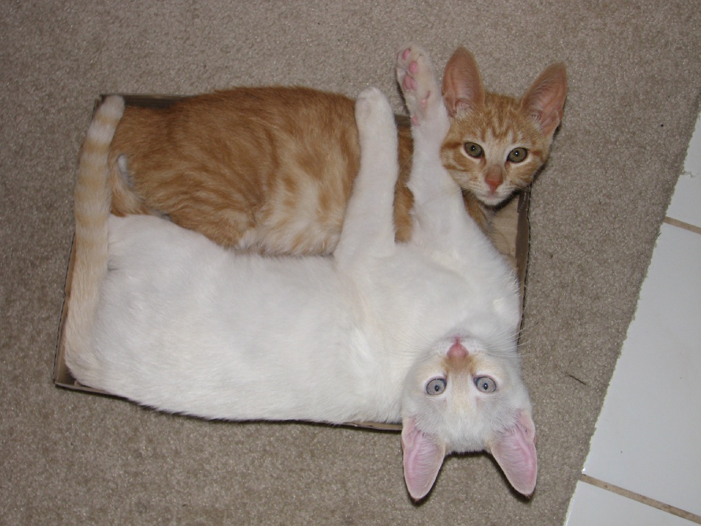 20100206 587.JPG